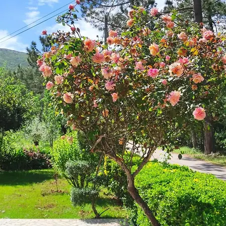 Casa Dos Vales 11 *